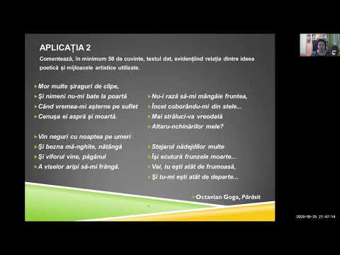 Lb. si literatura romana, recapitulare finala, cls. IX - XII