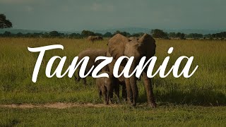 Mikumi National Park Tanzania - Safari experience