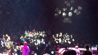 Phish Crowd Control Maple 2017