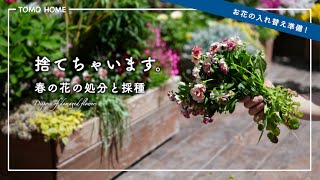 [Wasteful?] I got rid of spring flowers and prepared for replanting [Viola seeds]