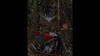 Download lagu Story wa vixion jari-jari 'orang humoris' mp3