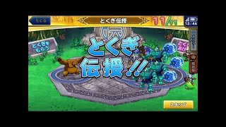 【どこパレ！】Lv１６　SSランク同種配合 特技伝授チャレンジ！＋最強ごうけつぐま育成計画　ベホマラー伝授の巻
