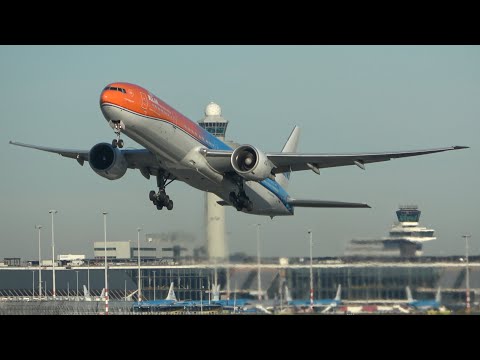 Plane Spotting Amsterdam Schiphol 12-11-2022 | Foggy Start & Special Liveries