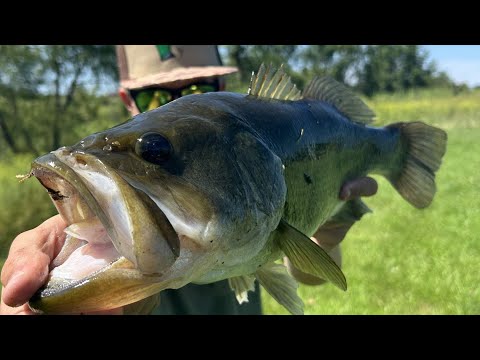 Kayak fishing for bigguns (multiple 5 pounders)