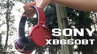 Video thumbnail for Sony MDR XB650BT Headphones Review! by Interged