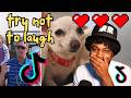 3 Hours Of CoryxKenshin S FUNNIEST Try Not To Laugh Clips