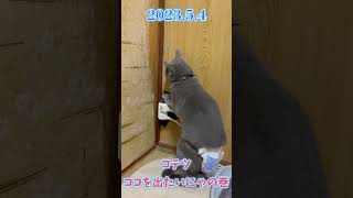 コテツのとある日常禄（とっても過去）