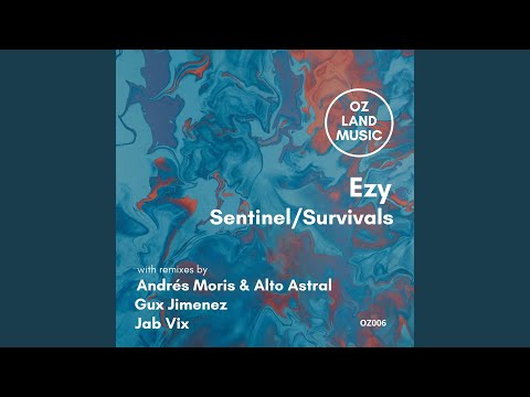 Sentinel (Jab Vix Remix)