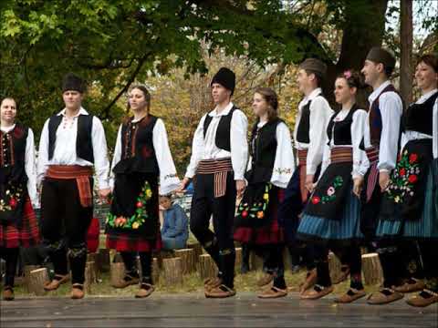 Pavle Stefanović - Jesi l' čuo mili rode