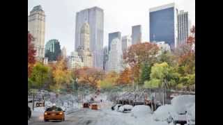 Chris de Burgh-The Snows of New York