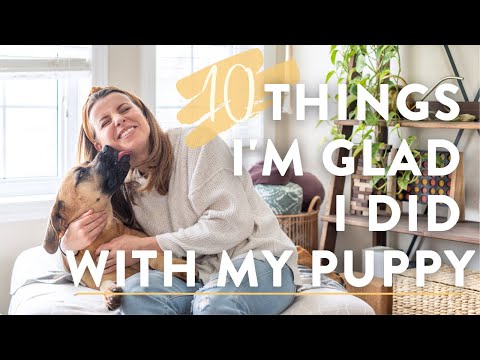 10 IMPORTANT THINGS TO DO WITH YOUR PUPPY | Training, Raw Food, Holistic Vet & More!