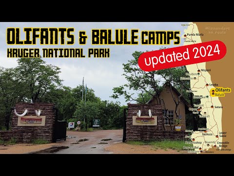 Kruger National Park: Olifants Rest Camp & Balule Satellite Camp UPDATED