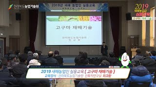 고구마 재배기술 이미지