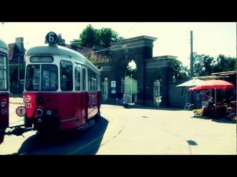 VIENNA CALLING - The Search For Falco's Grave