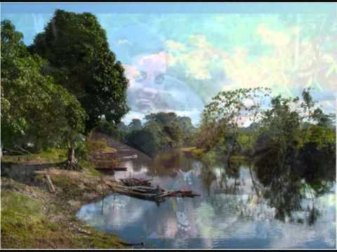 LOS INVASORES DE PROGRESO-MIX MINGA