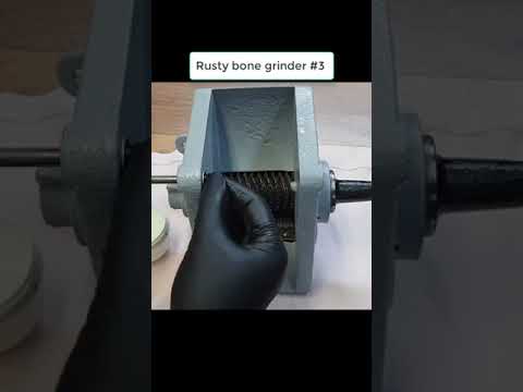 Rusty bone grinder Restoration P3