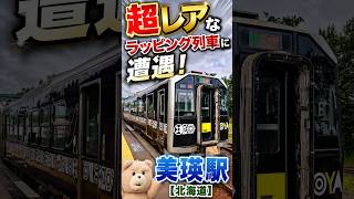 【激レア】アイヌ模様のラッピング列車に遭遇　　美瑛駅　オジロワシ　　びえいカレーうどん北海道