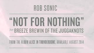 Not for Nothing feat. Breeze Brewin of the Juggaknots