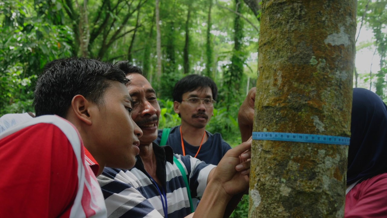 Criteria and indicators for SFM of tropical forests