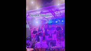 Download lagu Dag Dig Dug  Ngopek Tonggo mp3