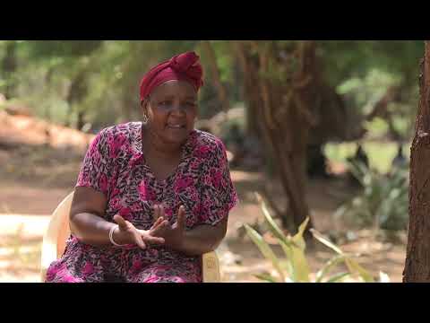 Safaricom's Journey to Success