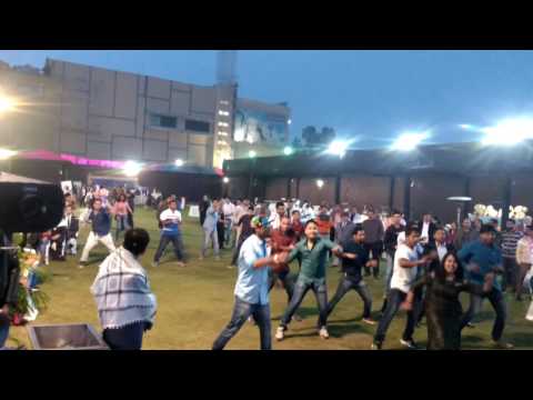 Annual day function STEAG ENERGY SERVICES INDIA PVT LTD (Noida)