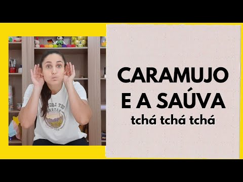 CARAMUJO E A SAÚVA - PALAVRA CANTADA