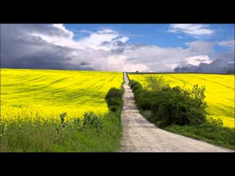 SÉMATERÁPIA  ismertetője Jeffry Young , Kezdj új élete című könyve alapján