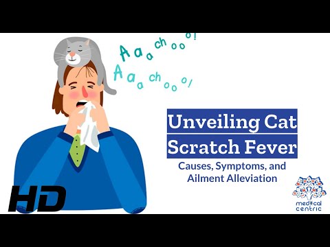 Cat Scratch Fever Uncovered: What You Need to Know