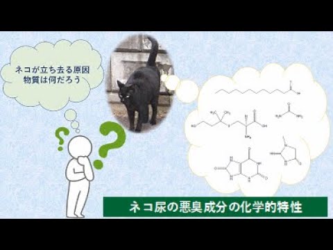 【農学部】ネコ尿の悪臭成分の化学的特性