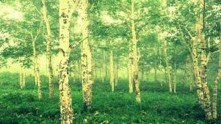 All That's In The Universe