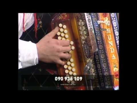 Ans. Akordi - Ni hotela reči ne (ans. L. Slaka) v živo