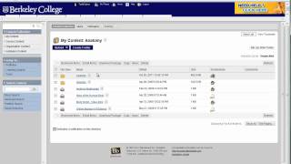 Content Collection - Permissions