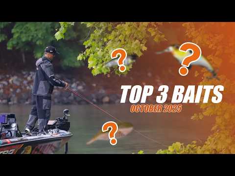 October Bass Fishing Tips: 3 Best Lures for Fall