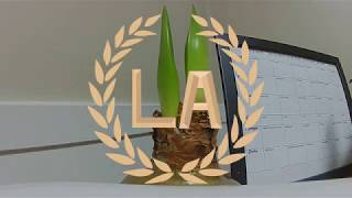 Run River North - Growing Up Visual Concept