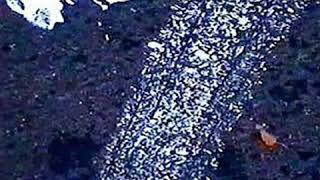 The Fall - I Am Damo Suzuki - Live @ Edinburgh Liquid Rooms - 2001