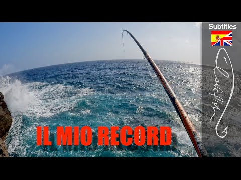 SARAGHI enormi nella schiuma