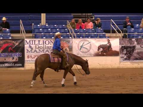 Magnum Style - Ridden by Abby Lengel - 2018 Cactus Reining Classic Open Derby