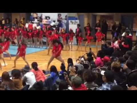 BDA battle in the apple 2016