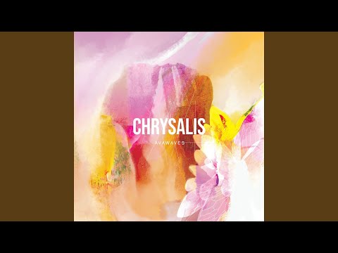 Midnight Bird - AVAWAVES