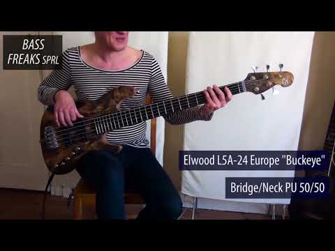 Maruszczyk Elwood Europe Live Demo - BassFreaks.net
