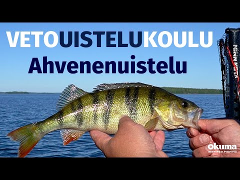 Ahvenenuistelu | Vetouistelukoulu
