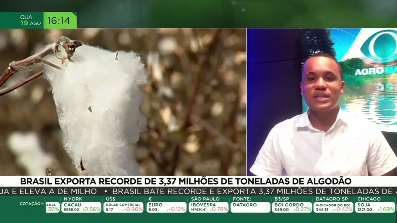 Brasil exporta recorde de 3,37 milhões de toneladas de algodão