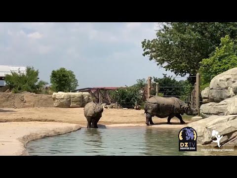 Wild Milestone: Baby Joona Explores Yard 4