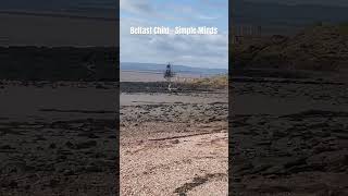 Portishead Actually, Beautiful ! #portishead #simpleminds #coast #shorts #music