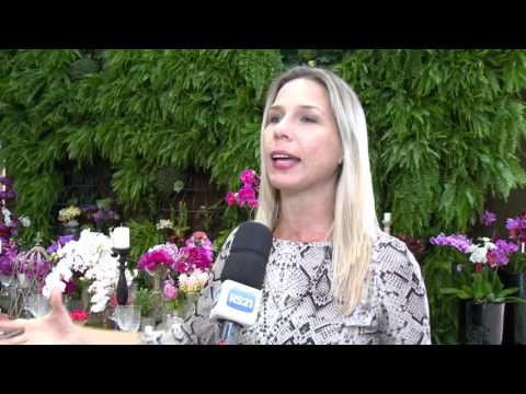 Mulher.com - 05/04/2016 -  Mostra Noivas 2016