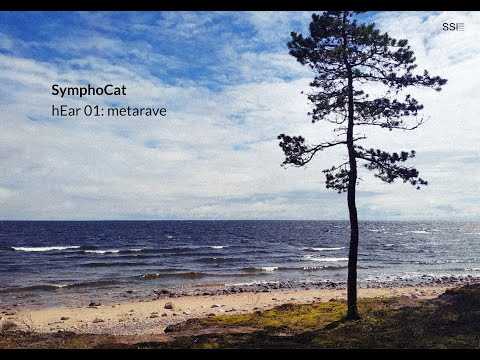 SymphoCat | hEar 01: metarave