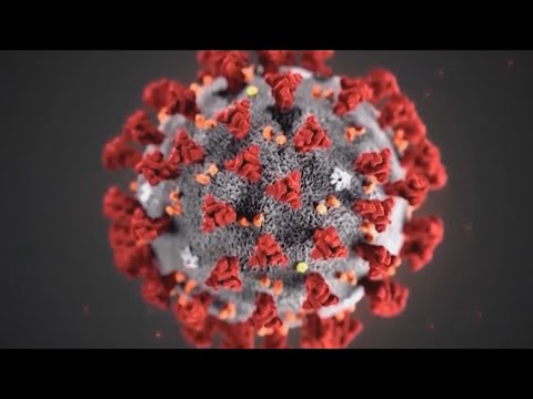 Coronavirus coverage on KING 5 News on Friday, April 24 at 11 p.m.