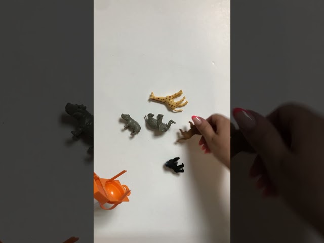Vídeo relacionado con TOEY PLAY Animale de Juguete del Bosque, Mini Figuras Animales, Realista Animales de Selva Zoo, Ardilla, Rana, Búho, Giocattoli Educativi per Niños Niñas 3 4 5 6