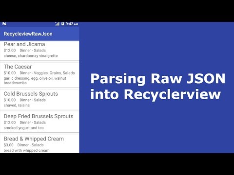 Parsing Raw JSON into Recyclerview